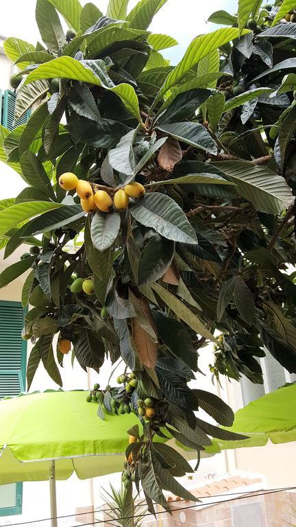 Il Giardino Del Nespolo Panzió Alghero Kültér fotó