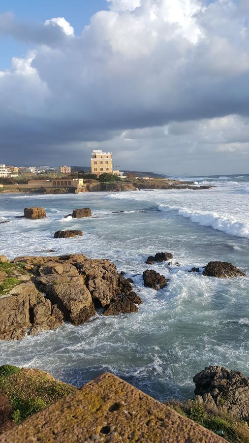 Il Giardino Del Nespolo Panzió Alghero Kültér fotó